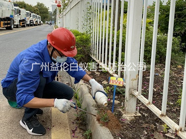 花东企业消杀红火蚁