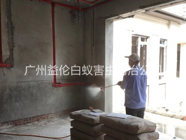 芙蓉装修预防白蚁工程