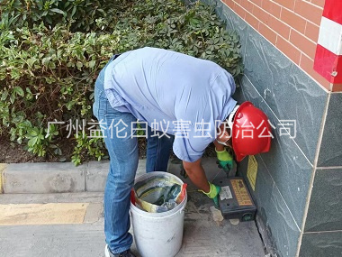 花山安装灭鼠器工程