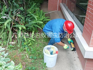 雅瑶施药灭鼠工程