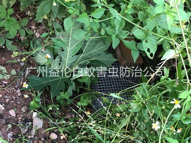 狮岭住宅区处理蛇患工程