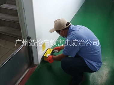 花都工厂车间室内布置粘鼠板工程